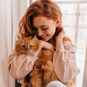  ¿Cuál es el mejor gato para ti?