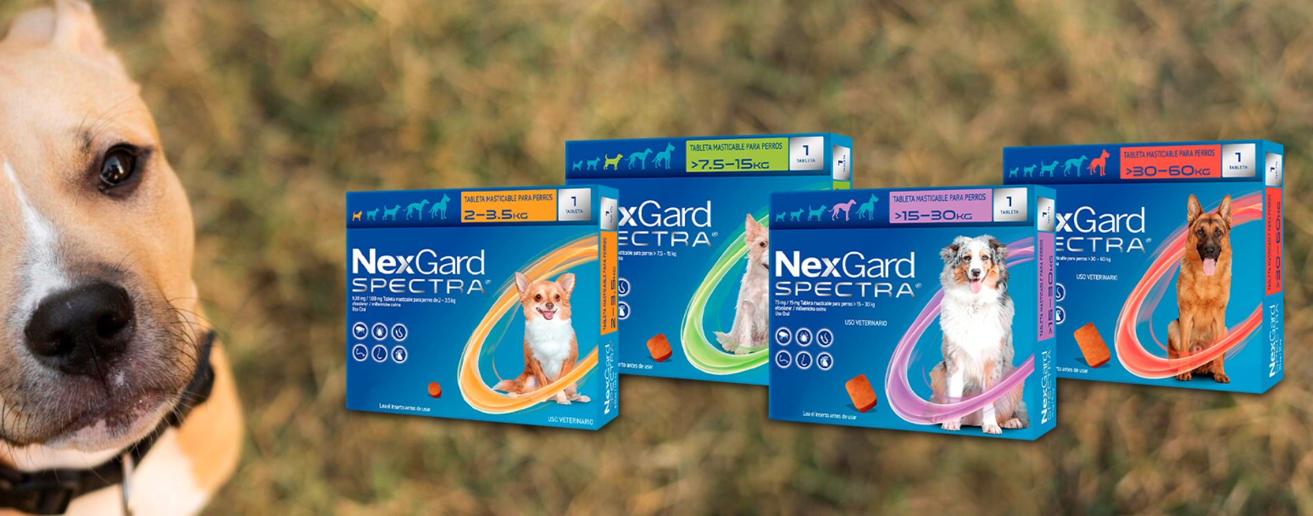 NEXGARD SPECTRA