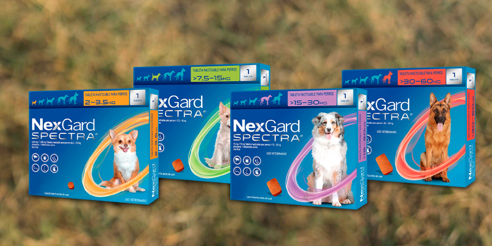 NEXGARD SPECTRA