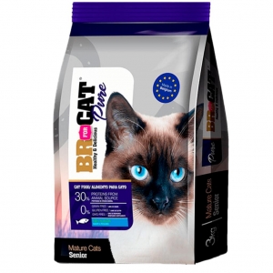 BR FOR CAT SENIOR_1