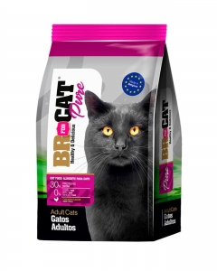 BR FOR CAT GATO ADULTO_1