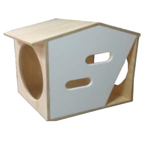 CASA 2 AGUA BLANCA_1