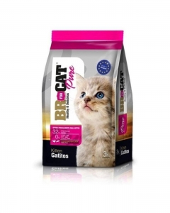 BR FOR CAT GATITOS_1