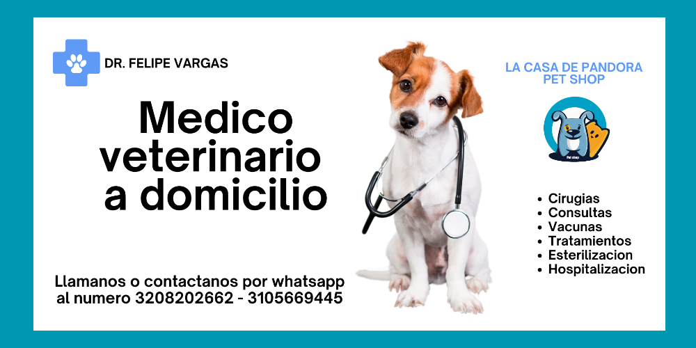 VETERINARIA